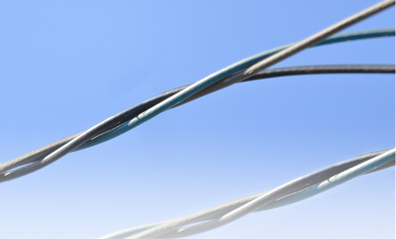 ����ȱ�ݼ��