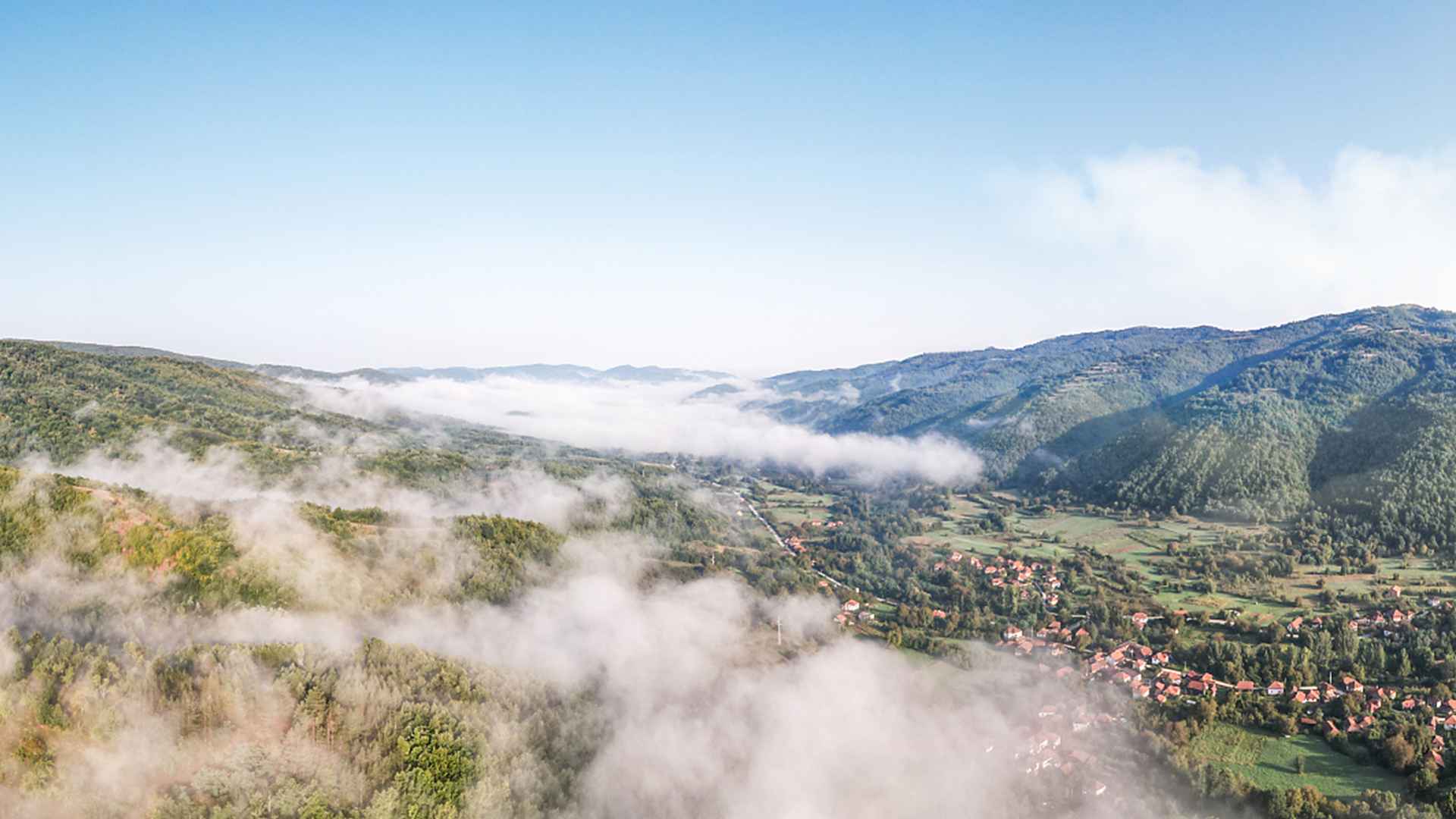 introduction_display